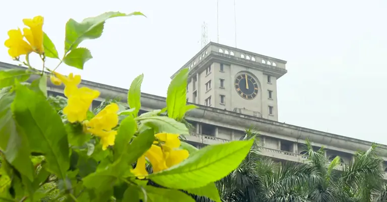 ঈদের ছুটিতে ফাঁকা ঢাকায় ফিরছে সবুজের প্রশান্তি